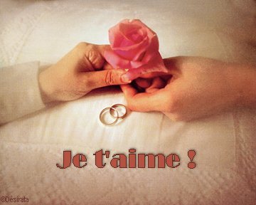 rose de l'amour................
